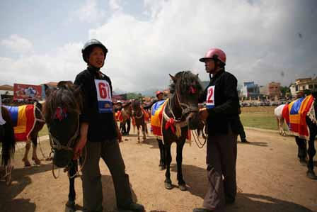 Tầm ngựa trên đường đua Bắc Hà